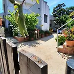 Pinoapplosinj * Veli Lošinj
