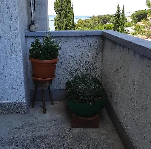 Pinoapplosinj * Veli Lošinj