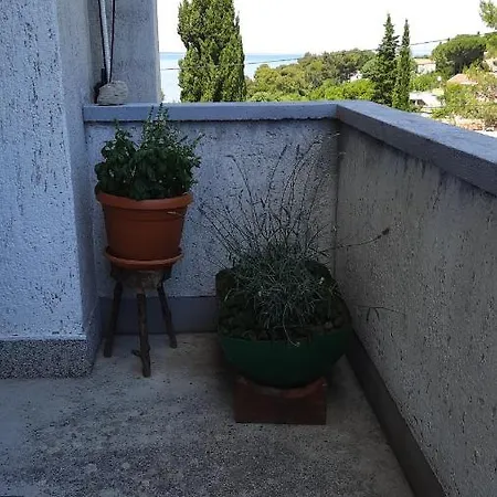 Pinoapplosinj * Veli Lošinj